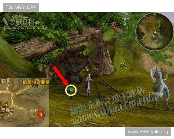 顶上在线娱乐助力新手快速入门提供详细的游戏教程和实用的操作技巧